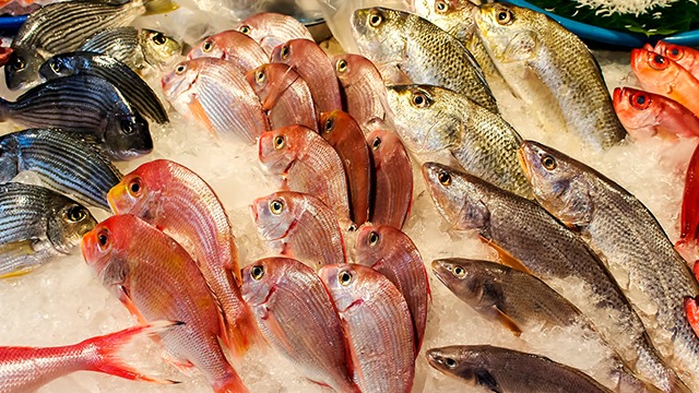 进口食品批发——进口海鲜规范申报