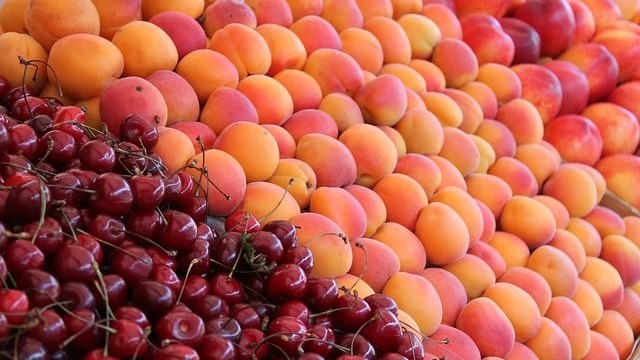 智利对亚洲水果出口创历史新高，增长16.6%