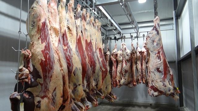 俄罗斯获准输华牛副产品清单扩容