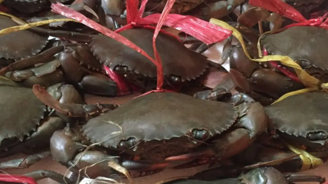今年一季度越南螃蟹出口额同比增长62%