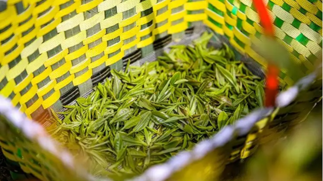 今年前五月巴拉圭马黛茶叶出口达4156吨 协会：将继续扩大国际市场