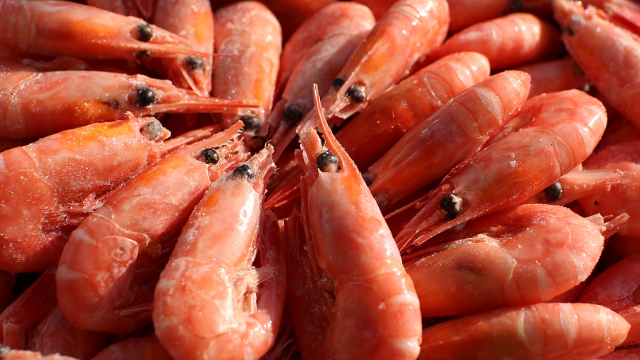 北极虾产量上升，中国、俄罗斯需求下滑