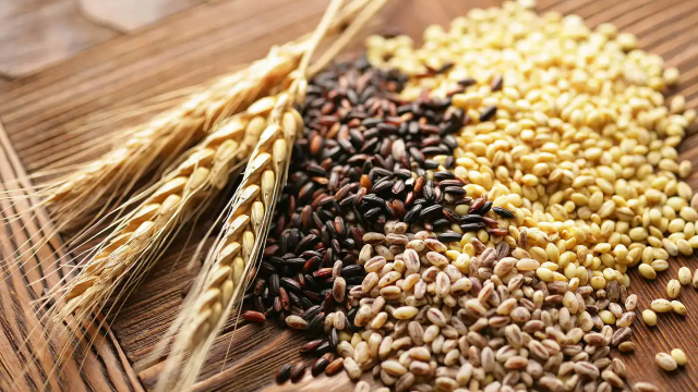 全球小麦市场：黑海谈判取得进展，收获压力沉重，麦价下跌