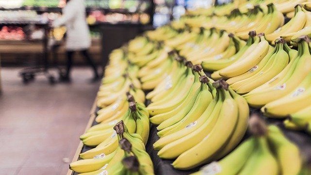 玻利维亚上半年香蕉出口增加 国内种植户为何陷入危机？