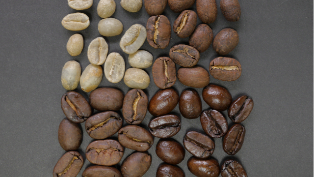 越南咖啡出口位居世界第二 德国是越南咖啡最大的出口市场