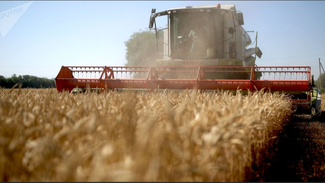 俄罗斯统计局：2022年俄罗斯小麦产量净重预计为1.0265亿吨