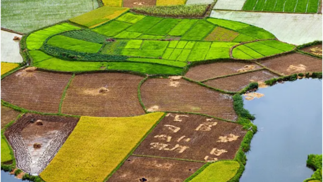 2022年越南农业增加值增长3.36%？