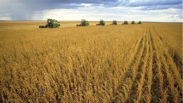 媒体：2022年俄托木斯克州对华农产品出口超4000万美元