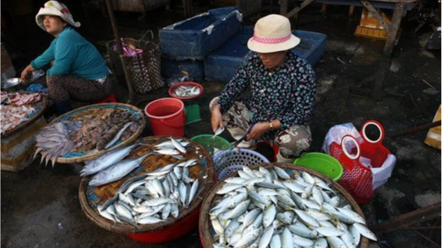 越南海产品加强对潜在市场的出口贸易