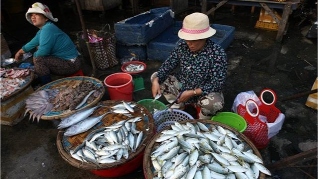 受通胀延续影响，一月份越南海产品出口大幅下滑