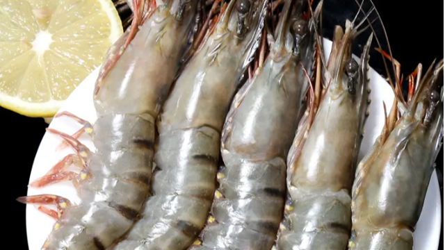 越南主要加工虾生产省加紧签订订单实现10亿美元出口额