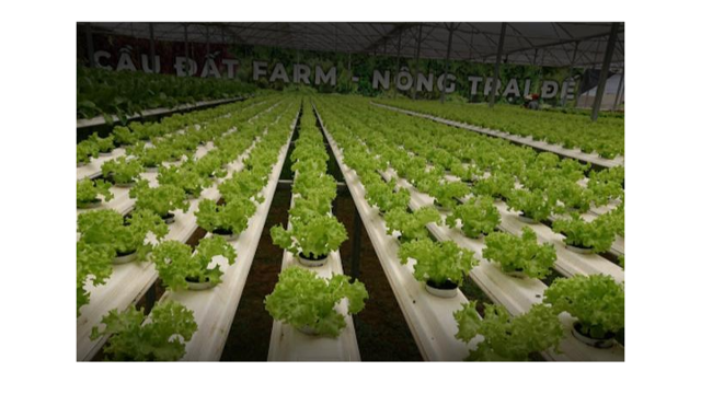 越南促进农产品食品可追溯数字化