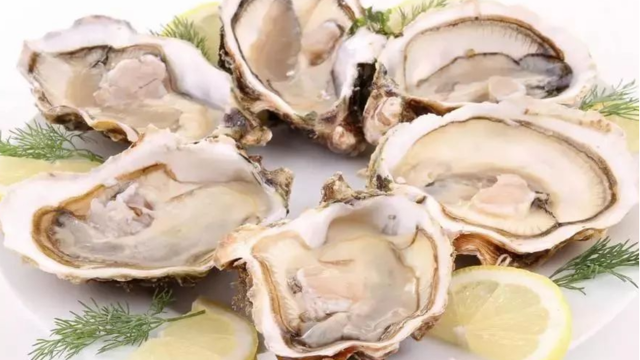 日本国际协力机构与越南庆和省合作发展牡蛎养殖业