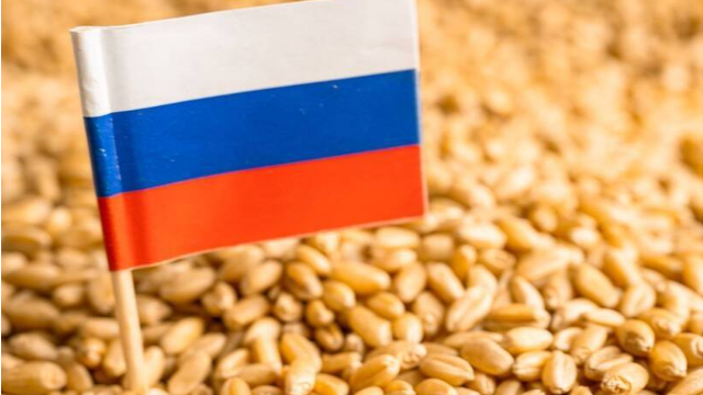 俄粮食协会：非洲国家在扩大采购俄罗斯小麦