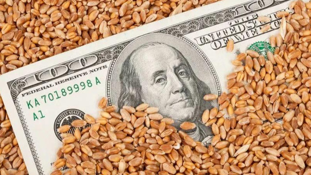 全球小麦市场：国际粮商撤离俄罗斯，欧盟限制进口乌克兰谷物