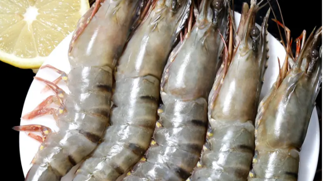 越南虾占据韩国最高市场份额