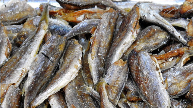 今年一季度俄罗斯养殖类海产品产量同比增加15.6%