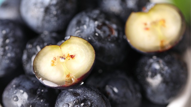 智利新一季新鲜蓝莓出口或降6% 冷冻蓝莓料增10%