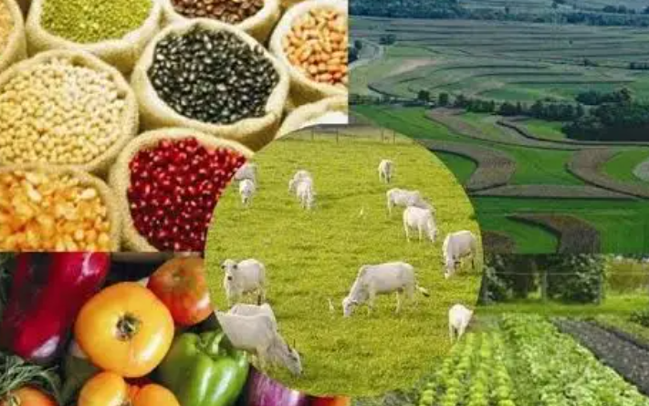 俄专家：俄罗斯农产品对华出口量将增长