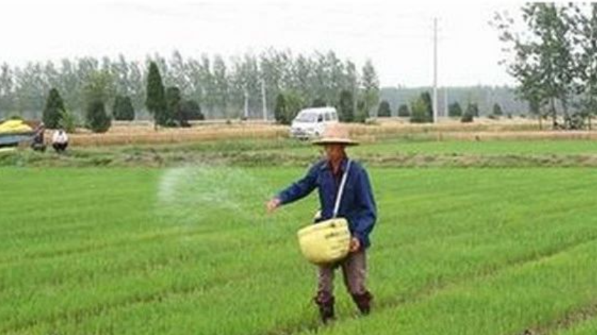 秘鲁总统：支持俄罗斯化肥出口正常化