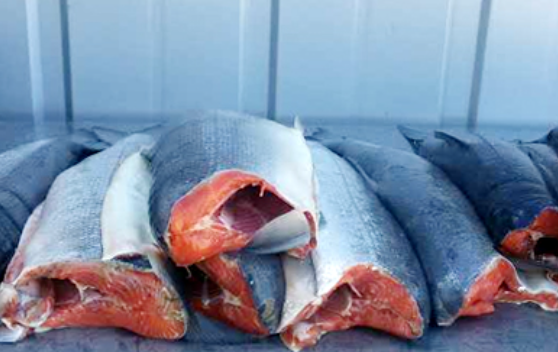 今年7月挪威三文鱼和鳟鱼出口量均有减少，但收益增加