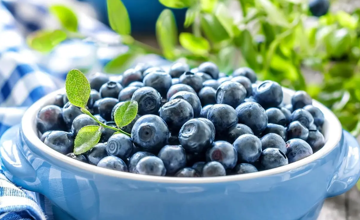 全球蓝莓产量有望达200万吨，秘鲁成最大蓝莓鲜果供应国